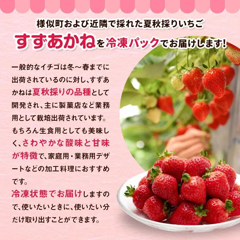 北海道産 冷凍いちご4kg いちご