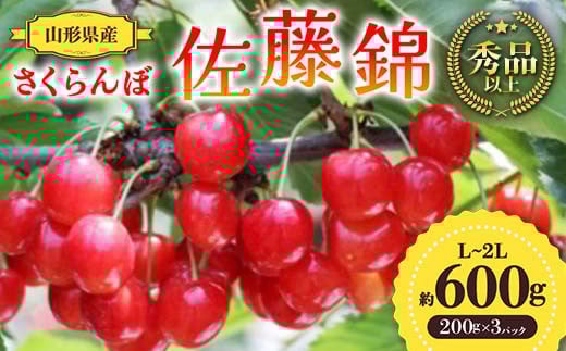 【先行予約 令和7年度発送】山形県産 さくらんぼ 佐藤錦 約600g（200g×3パック）秀品以上 L～2Lサイズ FSY-0689