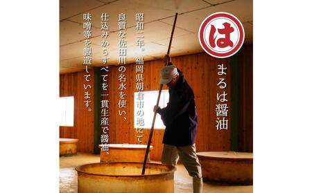 博多もつ鍋セット(和風醤油仕立て) 2～3人前 B088R