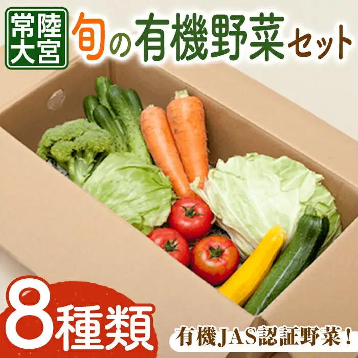 野菜セット コトコトファーム 旬の有機栽培野菜セット 有機JAS 詰め合わせ 旬 季節 【野菜セット】【ho1602】