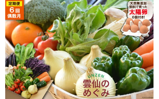 【6回偶数月コース】雲仙のめぐみ 旬の野菜セット (S)【太陽卵6個付き】 8～10品目セット [長崎県農産品流通 長崎県 雲仙市 item1573] 野菜 定期 野菜セット フルーツ 果物 くだもの 卵 たまご