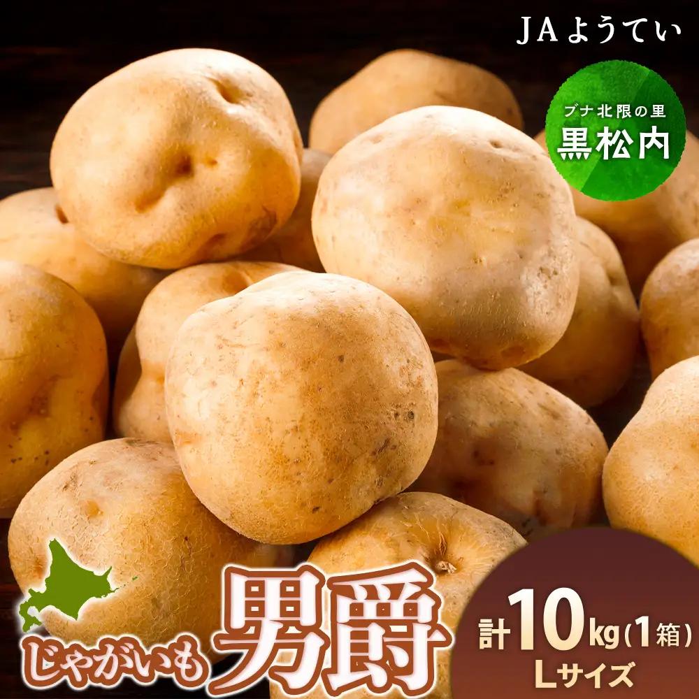 【2026年秋発送 先行予約】じゃがいも 馬鈴薯（男爵）Ｌサイズ　10kｇ＜JAようてい＞