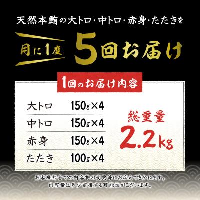 ふるさと納税 焼津市 【定期便5回】天然本鮪 一本分を加工してお届け(b500-011) |  | 01