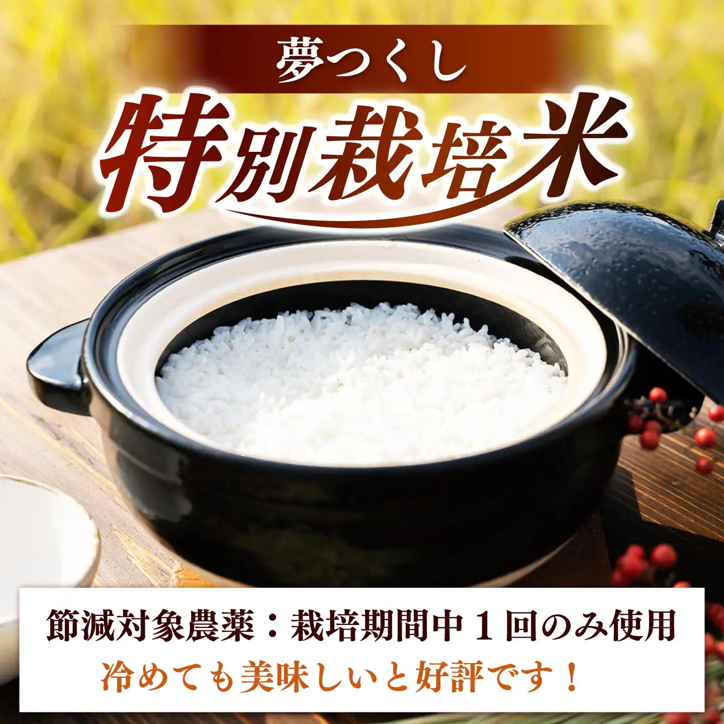 【全12回定期便】とくべつの中のとくべつ  特別栽培米  夢つくし 5kg【築上町】 / itoshimacco / 株式会社やました[ABEX008]