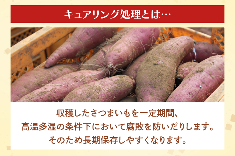 【2025年1月上旬より順次発送】茨城県産 紅はるか 訳あり サイズミックス　約10kg｜訳あり わけあり 訳アリ さつまいも サツマイモ さつま芋 紅はるか べにはるか 芋 いも 茨城県産 行方市(