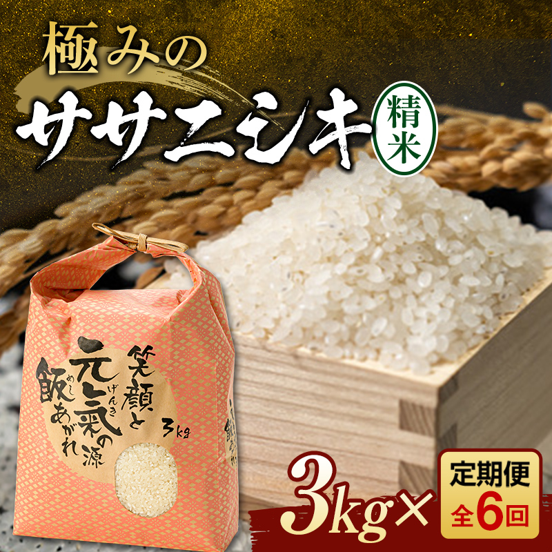 【令和8年産】定期便 全6回 極みのササニシキ（精米）3kg 米 お米 おこめ ふるさと納税 山形県 新庄市 F3S-2835