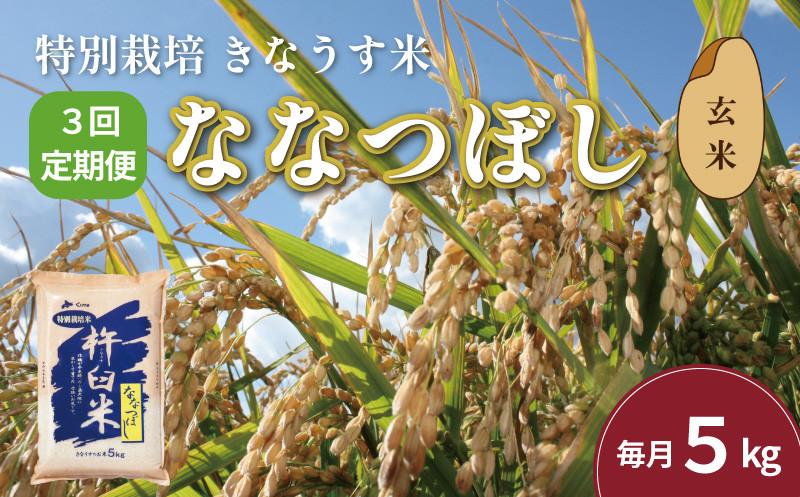 
            【玄米3ヶ月定期便】特別栽培「きなうす米」ななつぼし5kg×3回　J033
          