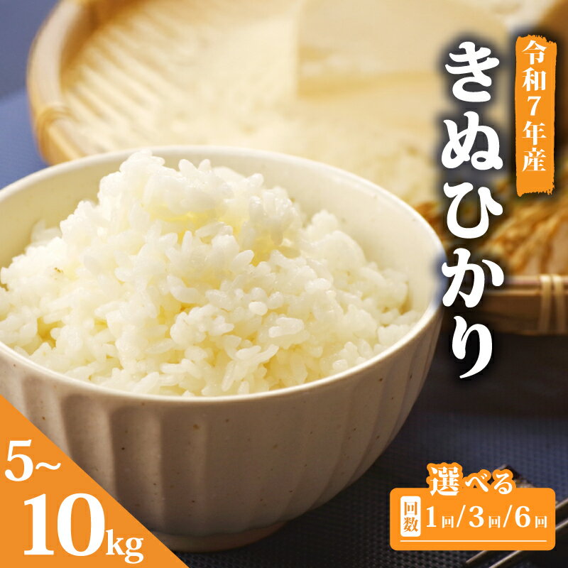 【ふるさと納税】 令和7年産 米 キヌヒカリ 5kg 選べる お届け回数 3回 6回 単品 定期便 お米 きぬひかり 国産 滋賀県 竜王町産 精米 ライス 白飯 ご飯 ゴハン こめ おこめ コメ 白米 産地直送 送料無料 ギフト 滋賀県 竜王町