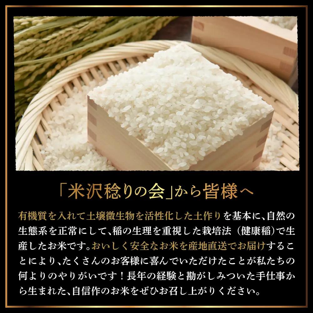 【先行予約】令和8年産 はえぬき 玄米 30kg （ 30kg × 1袋 ） 産地直送 2026年産 米沢産 玄米 山形県 米沢市