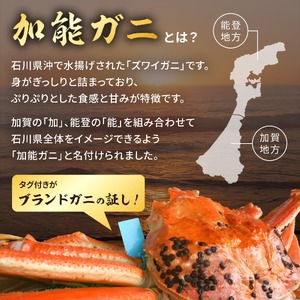 【１月より順次発送】加能ガニ （６００ｇ前後）　１杯