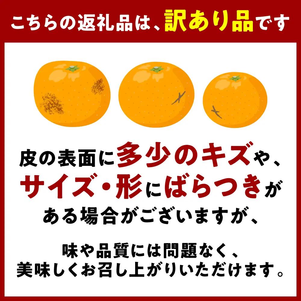 【先行予約】 【訳あり】 不知火 デコみかん 約7kg しらぬい みかん 【2027年1月中旬より順次発送】