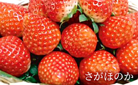 いちご 佐賀県産 果物 フルーツ いちご【約300〜350g 1箱】【先行予約】