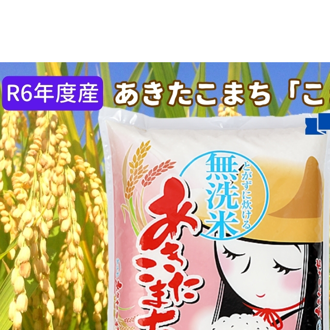 定期便 R6年度産 『こまち娘』あきたこまち 無洗米  5kg×1袋3ヶ月連続発送（合計15kg）吉運商店 秋田県 男鹿市