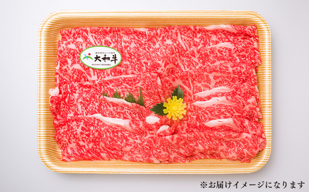 奈良県産 黒毛和牛 大和牛 赤身 すき焼き 500g ｘ2｜ブランド牛 和牛 金井畜産