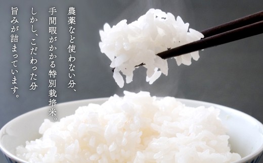 農薬を使わずこだわった分、旨みが詰まっています。