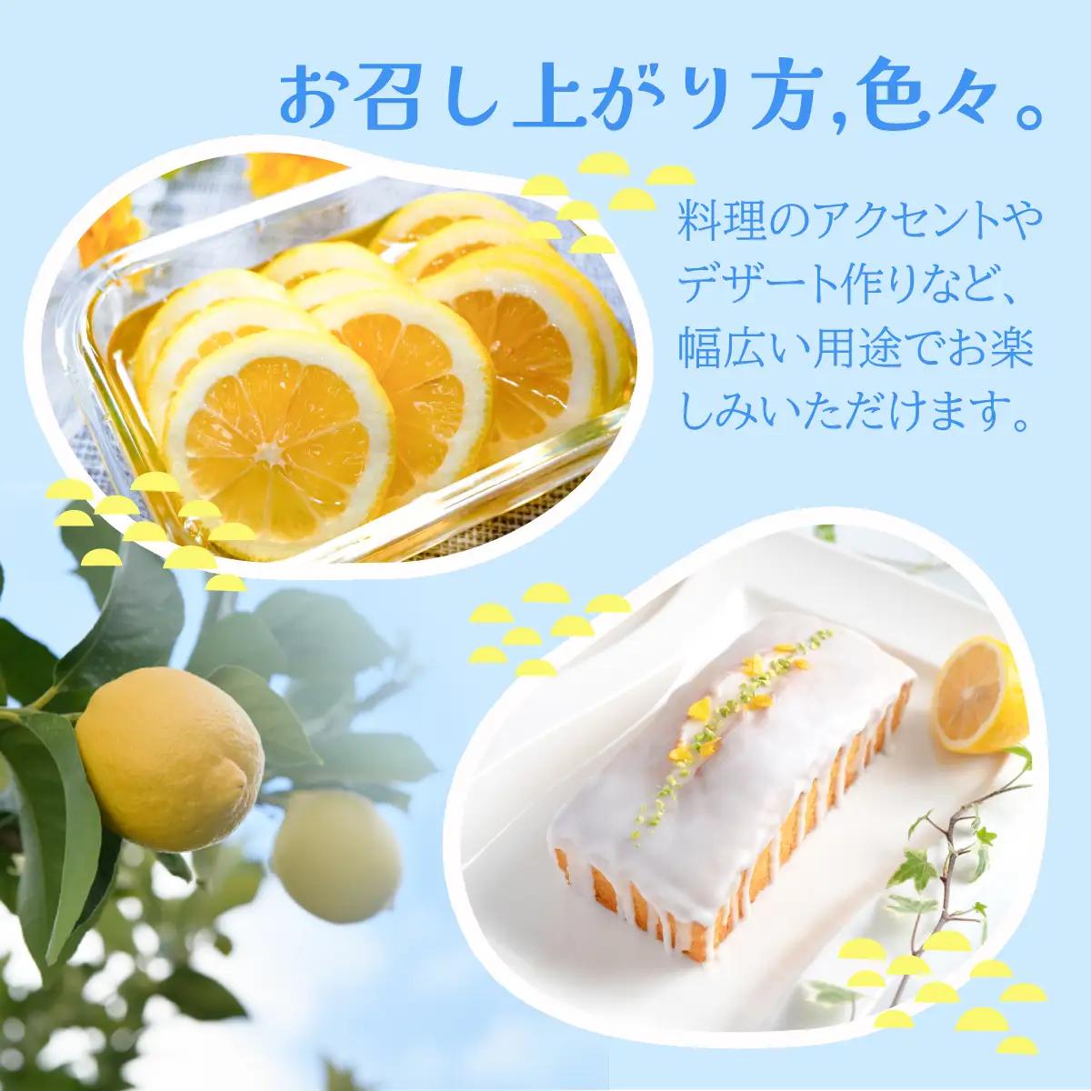 【先行予約】瀬戸内レモン 約10kg L～Mサイズ レモン