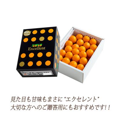 ふるさと納税 高原町 高原町産完熟きんかん『たまたまエクセレント』金柑1kg《ご贈答・ギフト》　TF051 |  | 01