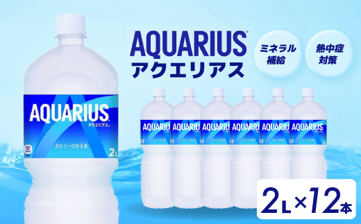 アクエリアス PET 2L×12本(6本×2ケース) スポーツドリンク スポーツ飲料 清涼飲料水 水分補給 ペットボトル 箱買い まとめ買い 014019