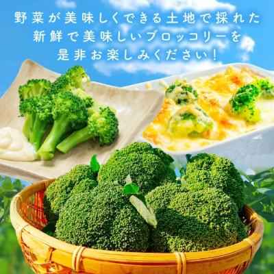 ふるさと納税 京丹後市 【先行予約】もりもり!ブロッコリー約2kg　2026年11月中旬〜順次発送 国産ブロッコリー9株程度 |  | 01