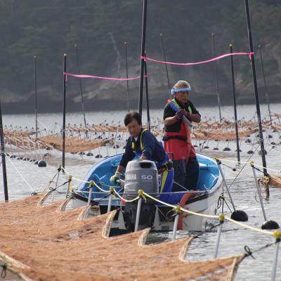 ふるさと納税 亘理町 宮城県荒浜産 あらはま海苔 特選焼海苔　10枚×7袋 |  | 03