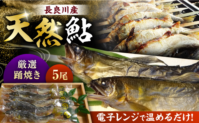 
                  鮎 【簡単調理】清流長良川 天然 踊焼き 個包装 冷凍 上質 電子レンジ レンジ調理 さかな あゆ 串 真空 岐阜県 焼き魚 人気 天然 鮎 アユ 踊り焼き 串焼き 塩焼き 川魚 魚 魚介 レンジで温めるだけ 時短 便利 高級 贅沢 厳選 長良川 ご当地グルメ お取り寄せグルメ ギフト プレゼント 贈り物 贈答 お返し 内祝い お祝い 父の日 岐阜市/天然鮎専門 結の舟 [ANBN005]
                