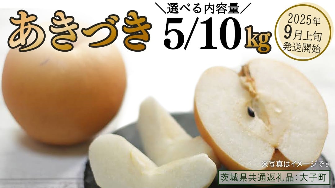 
            【 選べる 内容量 】  あきづき 約5kg / 約10kg 【2025年9月上旬発送開始】(茨城県共通返礼品：大子町) 秋月 梨 なし 果物 くだもの フルーツ
          
