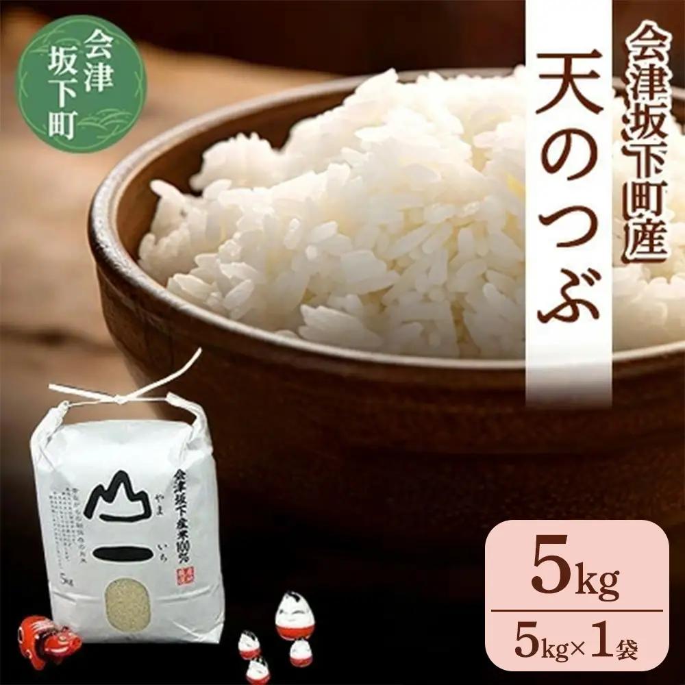 22-C 会津 天のつぶ5kg（5kg×1袋・令和7年産米）
