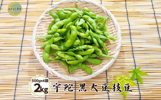 
										
										宇陀黒大豆枝豆(要予約)2kg(500ｇ×4袋) / あかひと農園 黒大豆枝豆 季節限定 ビール 奈良県 宇陀市
									