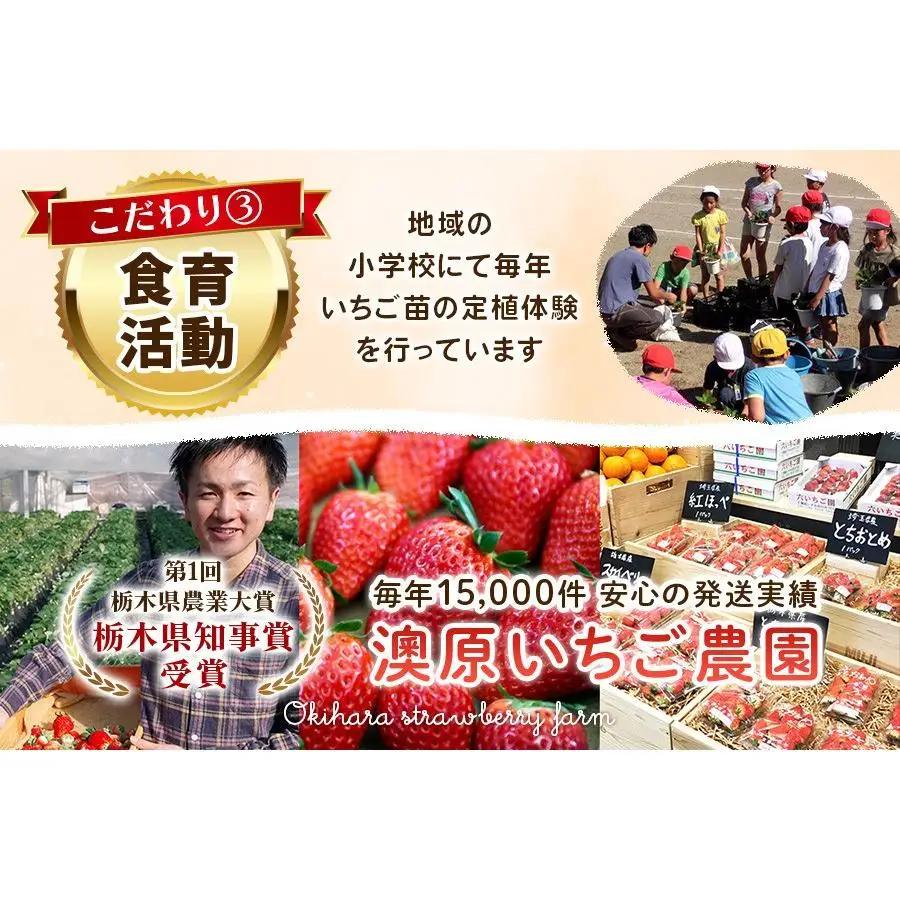 【2027年先行予約】元祖とちおとめ×白いちごミルキーベリー 食べ比べセット 560g