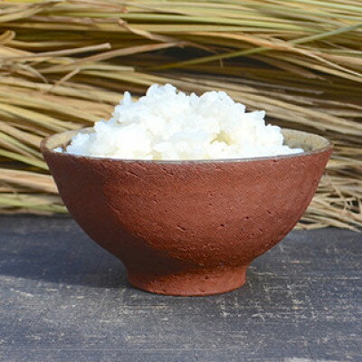 【ふるさと納税】あわ焼 ごはん茶碗 1客【1486724】