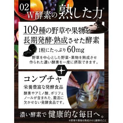 ふるさと納税 養老町 【毎月定期便】酵素サプリメント炭酵素ファイバーKUROBIOコエンザイムQ10、30日30粒全4回 |  | 02