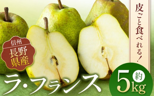 【先行受付：10月発送】お好みの硬さをドンピシャで。皮ごと食べられる ラフランス 5kg |  西洋梨 長野県 松本市 信州産 梨 果物 くだもの フルーツ ふるーつ