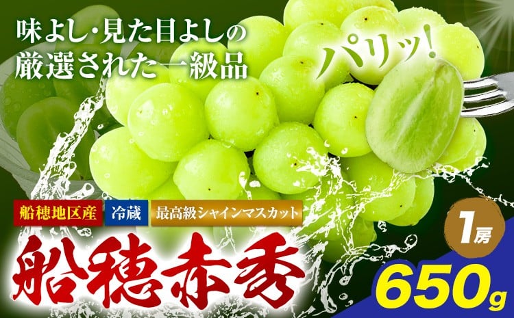 
                  【2026年発送先行予約】最高級 シャインマスカット ぶどう 船穂赤秀 1房 650g 岡山県産《2026年9月上旬-10月末頃出荷》 ハレノフルーツ マスカット 送料無料 岡山県 浅口市 フルーツ 果物 贈り物 ギフト 国産 岡山県産【配送不可地域あり】
                