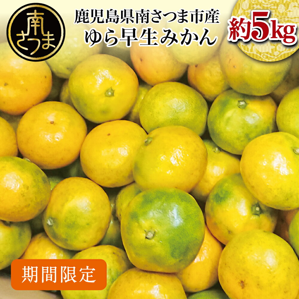 【ふるさと納税】 鹿児島県産 ゆら早生みかん 約5kg ［先行受付：9月発送開始］≪期間限定≫ 先行予約 柑橘 くだもの フルーツ 果実 みかん ミカン 蜜柑 温州みかん 極早生 わせみかん 甘味 ジューシー 鹿児島県 南さつま市産 国産 国内産 JA南さつま 送料無料