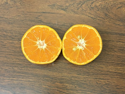 みかん「寿太郎」5kg [sf001-063]