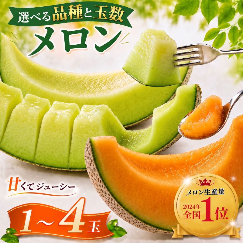 【ふるさと納税】 2027年先行予約 メロン 選べる 品種&玉数 アンデス クインシー 1～4玉 茨城 果物 青肉 青肉メロン 赤肉 赤肉メロン 国産 めろん meron melon 旬 デザート旬 お取り寄せ 贈答用 プレゼント ギフト 贈り物 ふるさと納税メロン 茨城県 鉾田市 ほこたメロン