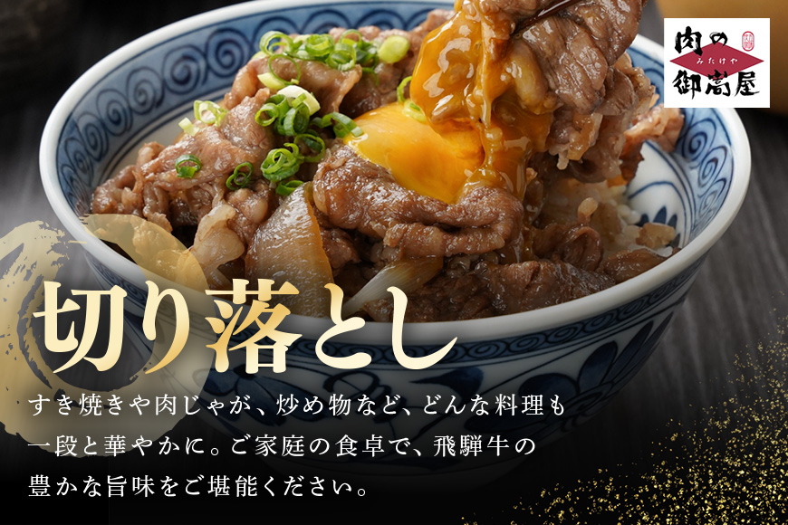 【冷蔵配送】飛騨牛 切り落とし 500g 和牛 A5 牛肉 牛丼 牛野菜炒め