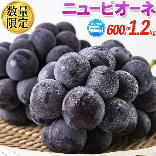 【ふるさと納税】岡山県産 ニューピオーネ 約1.2kg or 約600g 2房 1房 葡萄 果物 秀品 スイーツ フルーツ デザート 秋旬 岡山県矢掛町《9月中旬〜11月上旬頃に出荷予定(土日祝除く)》