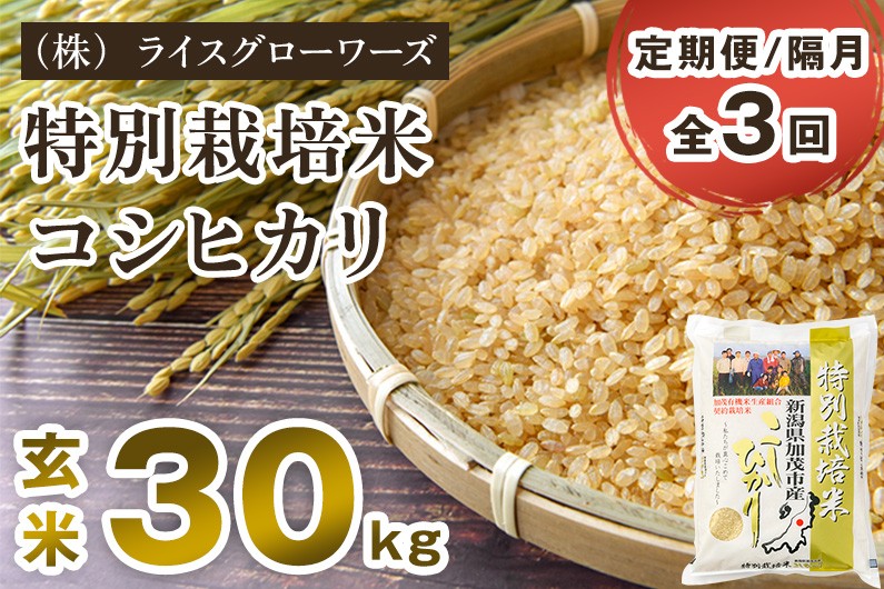 
                  【令和8年産新米先行予約】【定期便3回隔月お届け】新潟県加茂市産 特別栽培米コシヒカリ 玄米30kg（5kg×6）《10月上旬～順次出荷》 従来品種コシヒカリ （株）ライスグローワーズ
                