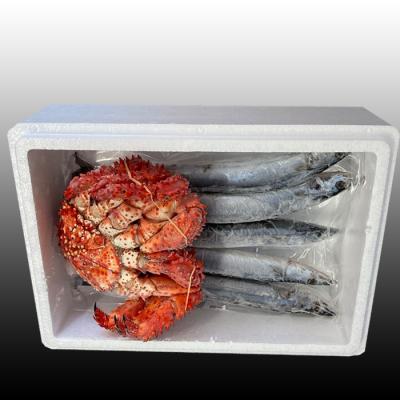 ふるさと納税 根室市 【北海道根室産】花咲かに300g〜450g前後×1尾、生さんま5尾×1P G-70002 |  | 01