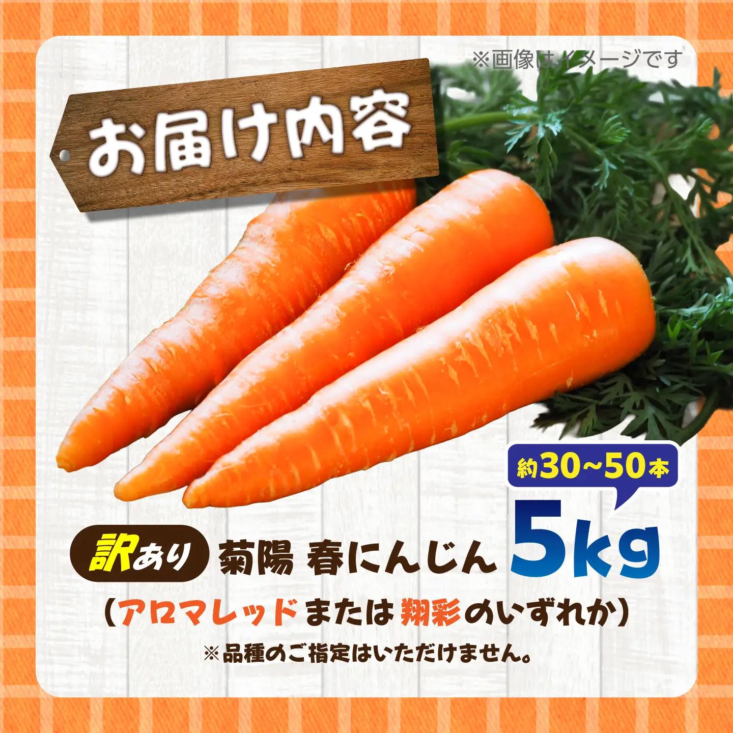 訳あり菊陽春にんじん 5kg にんじん BHDH005