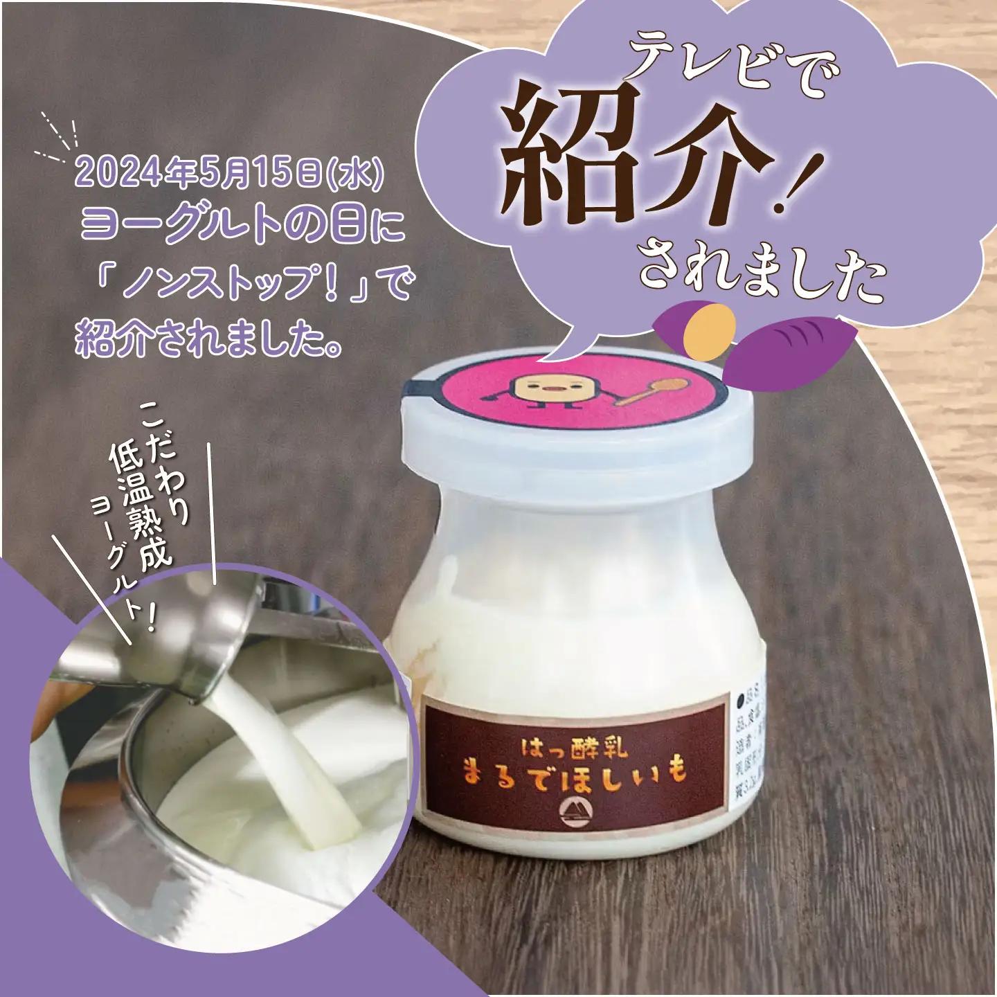 ヨーグルト 筑波ハム まるでほしいも 3個×2箱 ヨーグルト