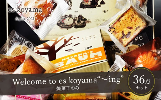 【ふるさと納税】 Welcome to es koyama“～ing” ( 焼き菓子のみ サブレ×18枚 / 焼き菓子×18個 ) エスコヤマ コヤマ 焼き菓子 お祝い 贈答品 中元 歳暮 数量限定 期間限定 人気 おすすめ 送料無料 兵庫県 三田市 [№5337-0169]