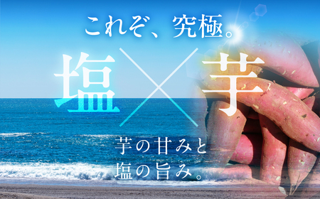 究極の塩干し芋 6袋セット 国産 干し芋