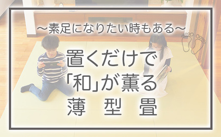 【置くだけでくつろげる畳空間に】 8ミリ置き畳「凪-NAGI-」 2枚 084003