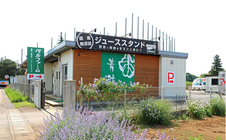 青汁シークワーサー入り 100g×30 パック【6 ヵ月定期便】＜離島・沖縄配送不可＞【 茨城県青汁定期便 つくば市青汁定期便 飲料青汁定期便 ドリン青汁定期便ク あおじる青汁定期便 健康 無添加 有