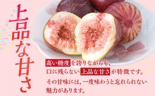 博多とよみつひめ 1,000g（４パック）【2025年8月～10月に発送予定】 CD23