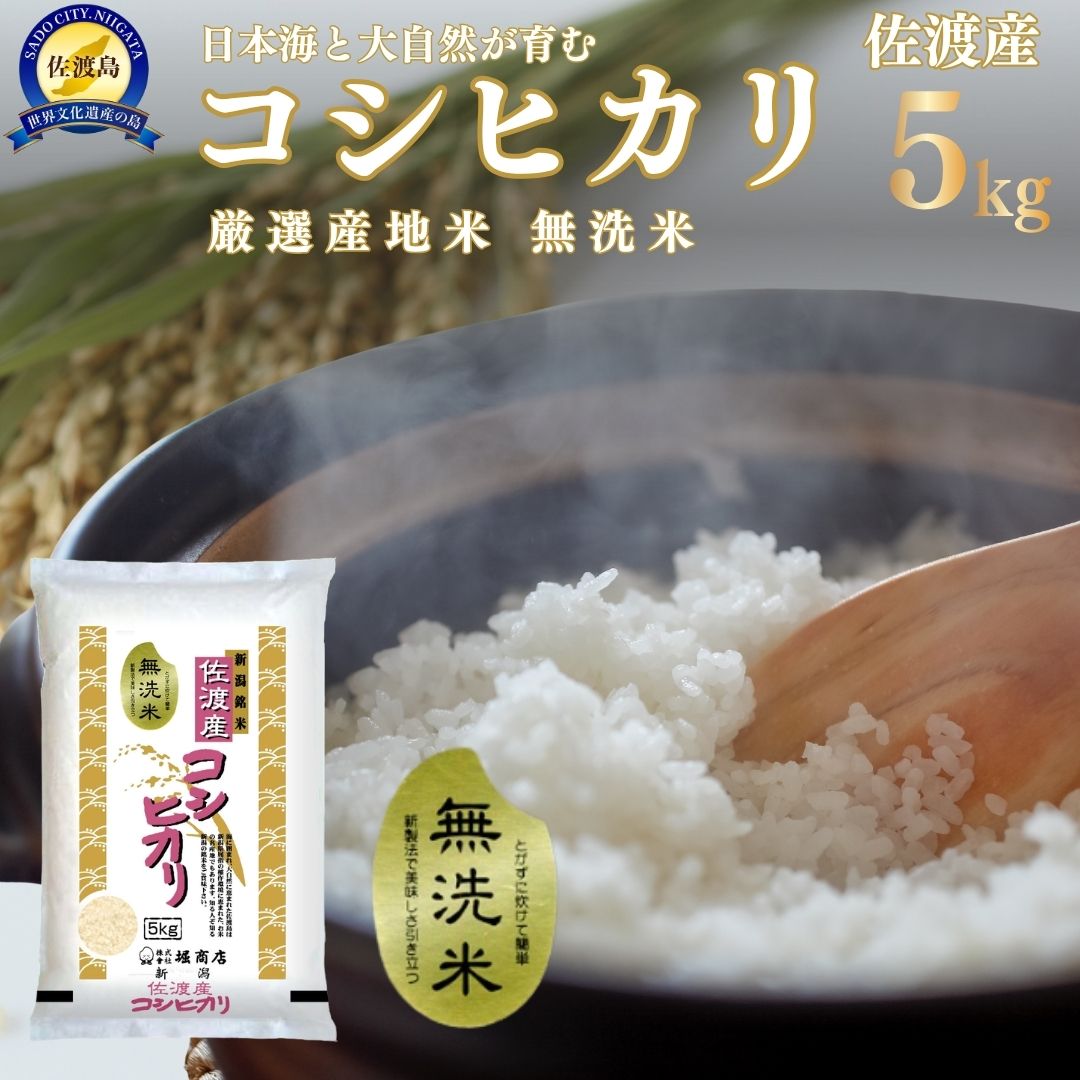 【ふるさと納税】無洗米 コシヒカリ 新潟 5kg 令和7年産 佐渡産 こしひかり NTWP製法 五ツ星お米マイスター精米 白米 5キロ 米 こめ コメ ブランド米 おすすめ お取り寄せ 時短 とがずに炊ける ごはん おにぎり お弁当 新潟県 佐渡市