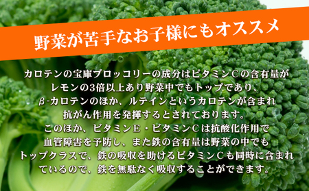 【 小豆島 】小豆島手延ブロッコリー麺　4袋セット 麺類 