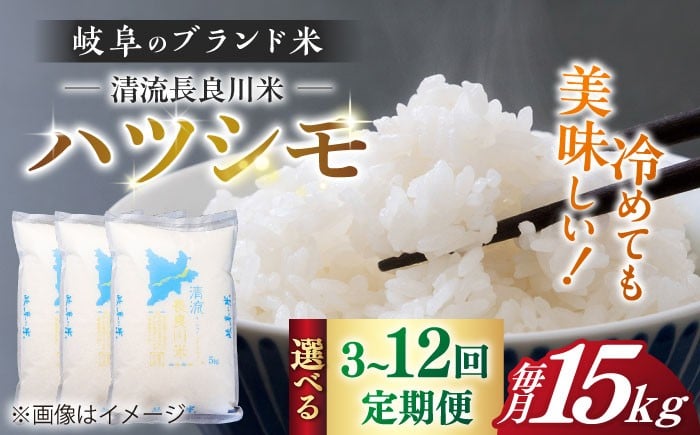 
                  【選べる定期便回数】【R7年産】 岐阜 ハツシモ 15kg 名水 100選に選ばれた 長良川 中流の水で育った 「清流長良川米」 ハツシモ はしつも 長良川 清流米 すし飯  冷めても美味しい お米 米 こめ 白米 15kg 15キロ 定期便 岐阜市 / 森ライス [ANCU011]
                